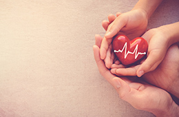ידיים מחזיקות לב